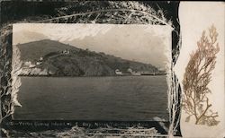 Yerba Buena Island - S.F. Bay Postcard