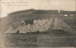 Camp at Point Blunt, Angel Island Postcard