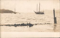 Stock #742895 Thumbnail