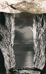 Evening on the Pacific Postcard