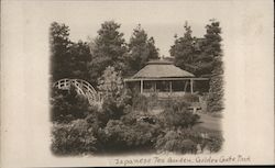 Stock #742937 Thumbnail