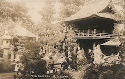 Stock #742939 Thumbnail