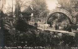 Stock #742940 Thumbnail