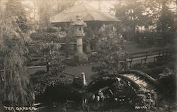 Tea Garden Postcard