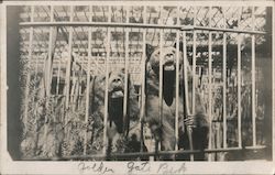 Stock #742957 Thumbnail