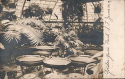 Stock #742969 Thumbnail