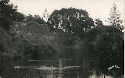 Stock #742988 Thumbnail