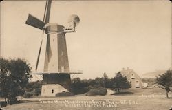 South Wind Mill Golden Gate Park Postcard