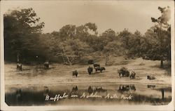 Stock #743011 Thumbnail