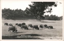 Stock #743012 Thumbnail