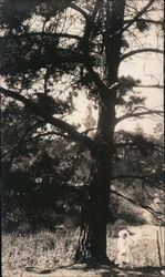 Stock #743022 Thumbnail