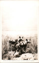 Stock #743056 Thumbnail