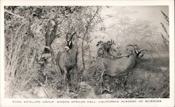 Stock #743057 Thumbnail