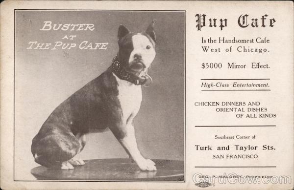 Buster at the Pup Cafe San Francisco California