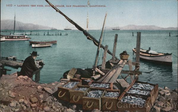 Landing the Fish, North Beach San Francisco California