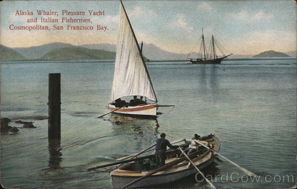 Alaska Whaler, Pleasure Yacht and Italian Fishermen, Cosmopolitan, San Francisco Bay California
