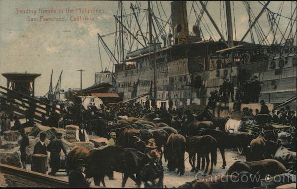 Sending Horses to the Philippines San Francisco California
