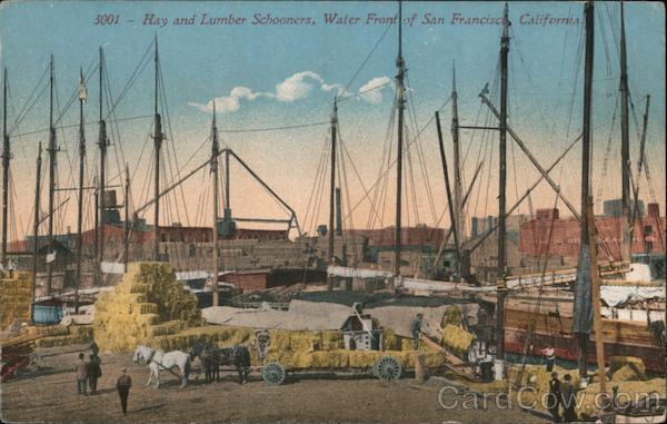 Hay and Lumber Schooners, Water Front San Francisco California