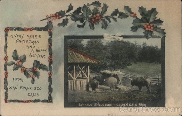 Buffalo Enclosure - Golden Gate Park San Francisco California