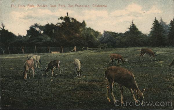 The Deer Park, Golden Gate Park San Francisco California
