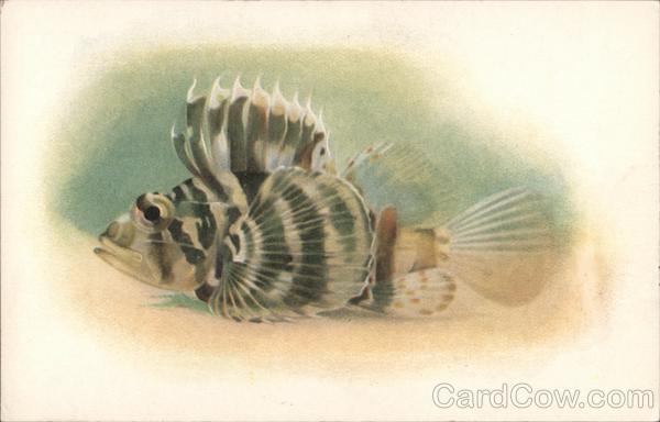 Steinhart Aquarium, Golden Gate Park San Francisco California