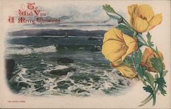 California Poppies and The Pacific Ocean: To Wish You a Merry Christmas Postcard