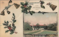 Suspension Bridge Golden Gate Park Postcard