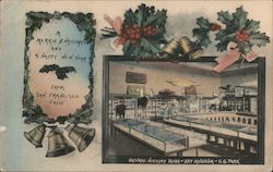 Natural History Room Art Museum  Golden Gate Park Postcard