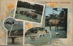 Stock #745714 Thumbnail