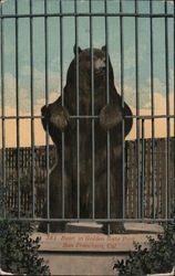 Stock #745729 Thumbnail