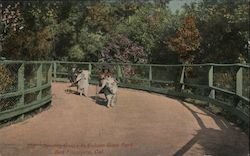 Driving Goats in Golden Gate Park Postcard