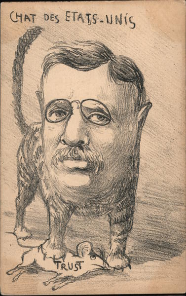 Chat Des Etats-Unis Theodore Roosevelt