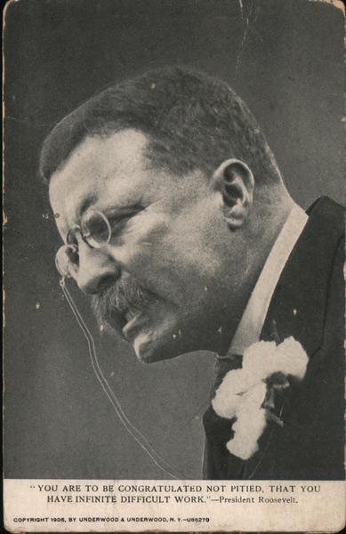 You are to be congratulated not pitied, that you have infinite difficult work.