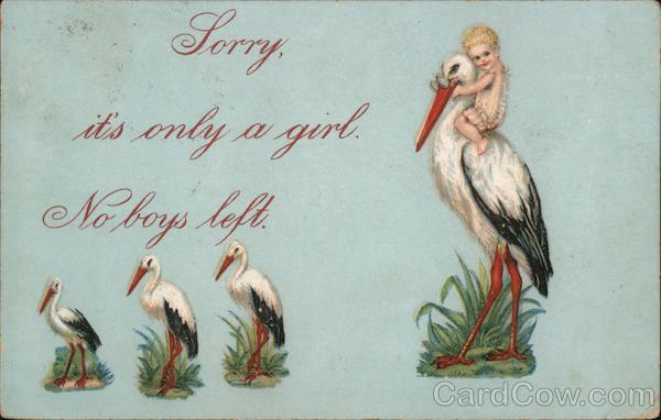 Storks: Sorry, it's only a girl. No boys left. Women's Suffrage