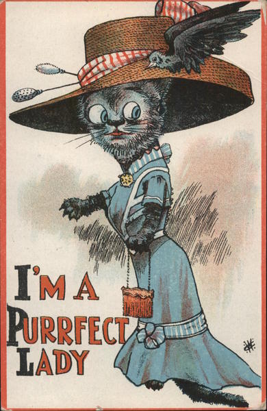 I'm a Purrfect Lady Women's Suffrage