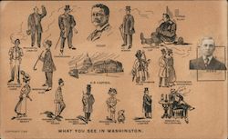 What you see in Washington Postcard
