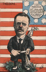 Political Cartoon of Teddy Roosevelt Theodore Roosevelt Ibille Postcard Postcard Postcard