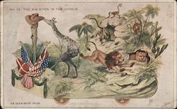 The Big Stick in the Jungle Postcard