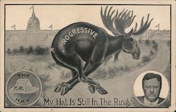 Progressive The Bull Moose Party My Hat Is Still In the Ring The T.R. Hat Postcard