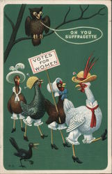 Votes for Women - A Line of Chickens in High Heels Holding a Sign Postcard
