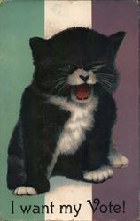 I want my vote! Postcard