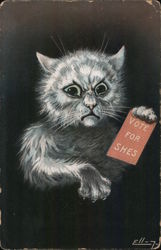 Vote for Shes Postcard