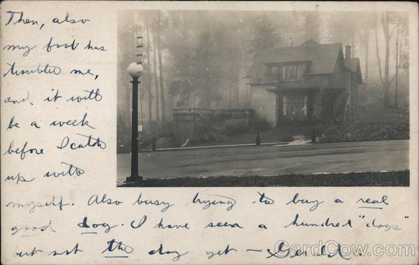 A House in a Wooded Area San Francisco California