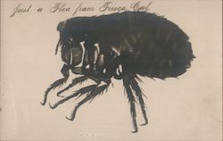 Stock #750412 Thumbnail