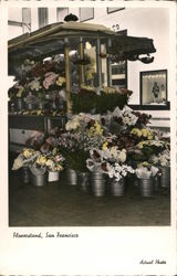 Stock #750599 Thumbnail