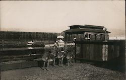 Stock #750673 Thumbnail