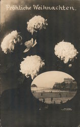 Cliff House San Francisco, CA Weidner Postcard Postcard Postcard