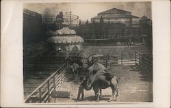 Stock #751057 Thumbnail