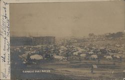 Camps at Fort Mason Earthquake Postcard