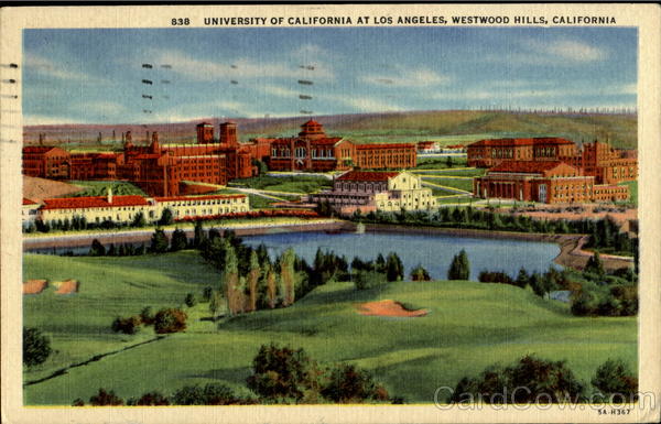 University Of California Los Angeles